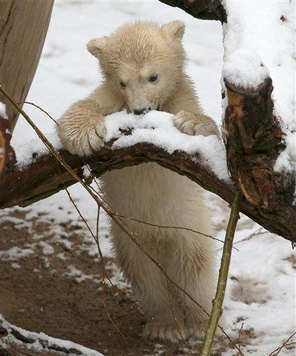 Germany Zoo_138271