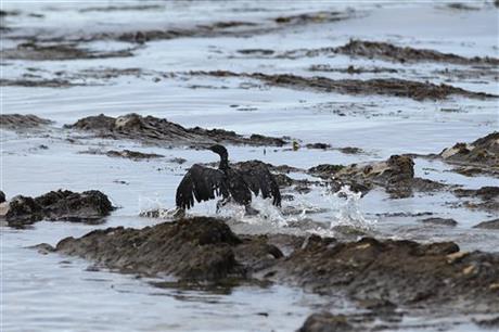 Oil spill_Santa Barbara -a7_166480