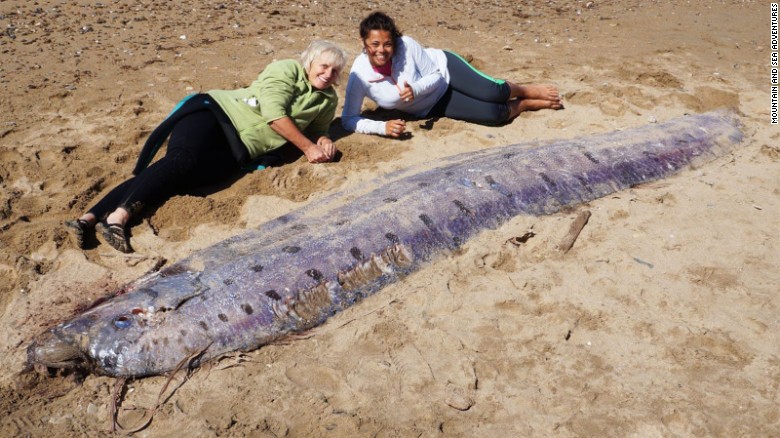 150602164919-giant-oarfish-catalina-exlarge-169_172798