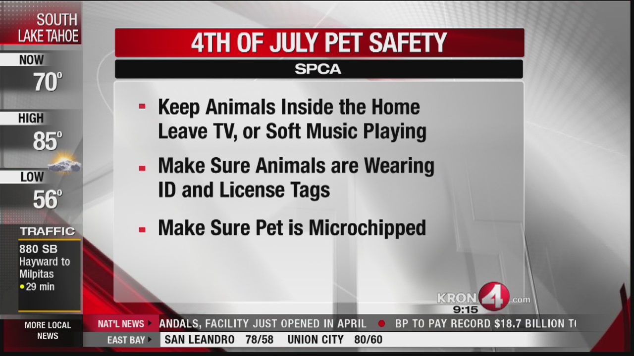 Pet safety tips for the Fourth of July