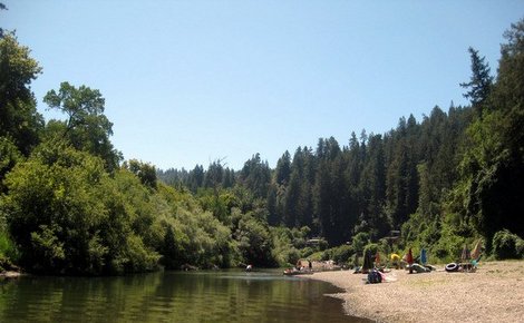 Russian River shoreline summer_225970