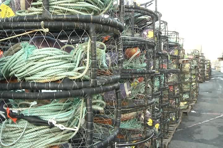 California's Dungeness crab season will not open in time for Christmas