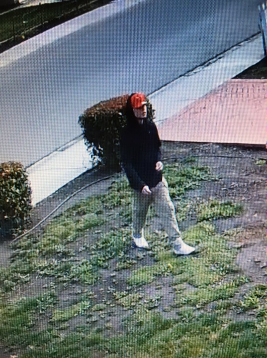 male-suspect-package-theft-1_304741