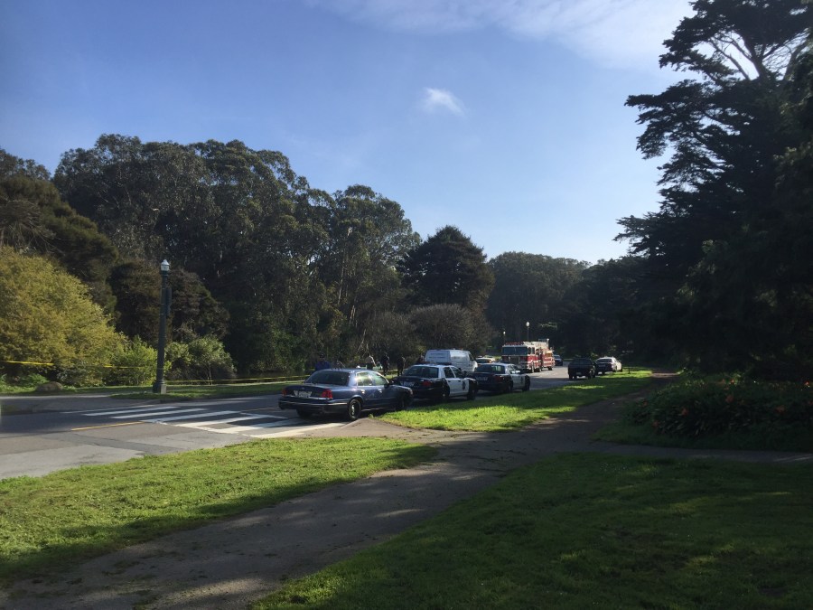 GoldenGateParkBody03.02.16_320987