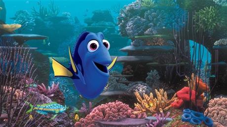 dory_382243