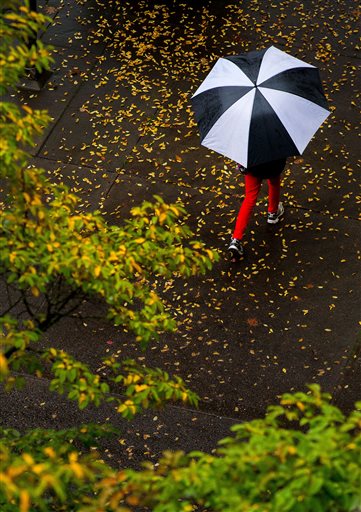 Rain and umbrella_435793