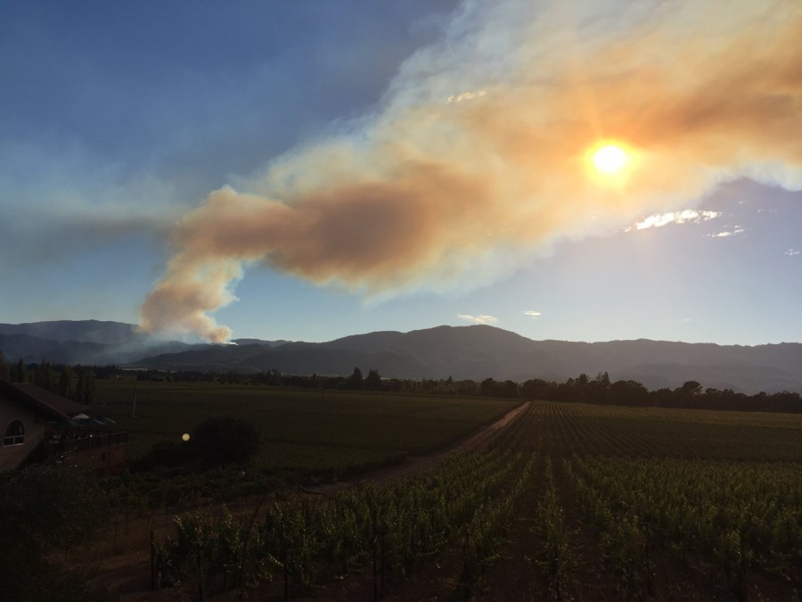 thumbnail_napa-county-brush-fire-credit-nick-oliveira_433756