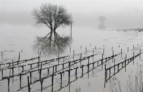 russian river flooding_476109