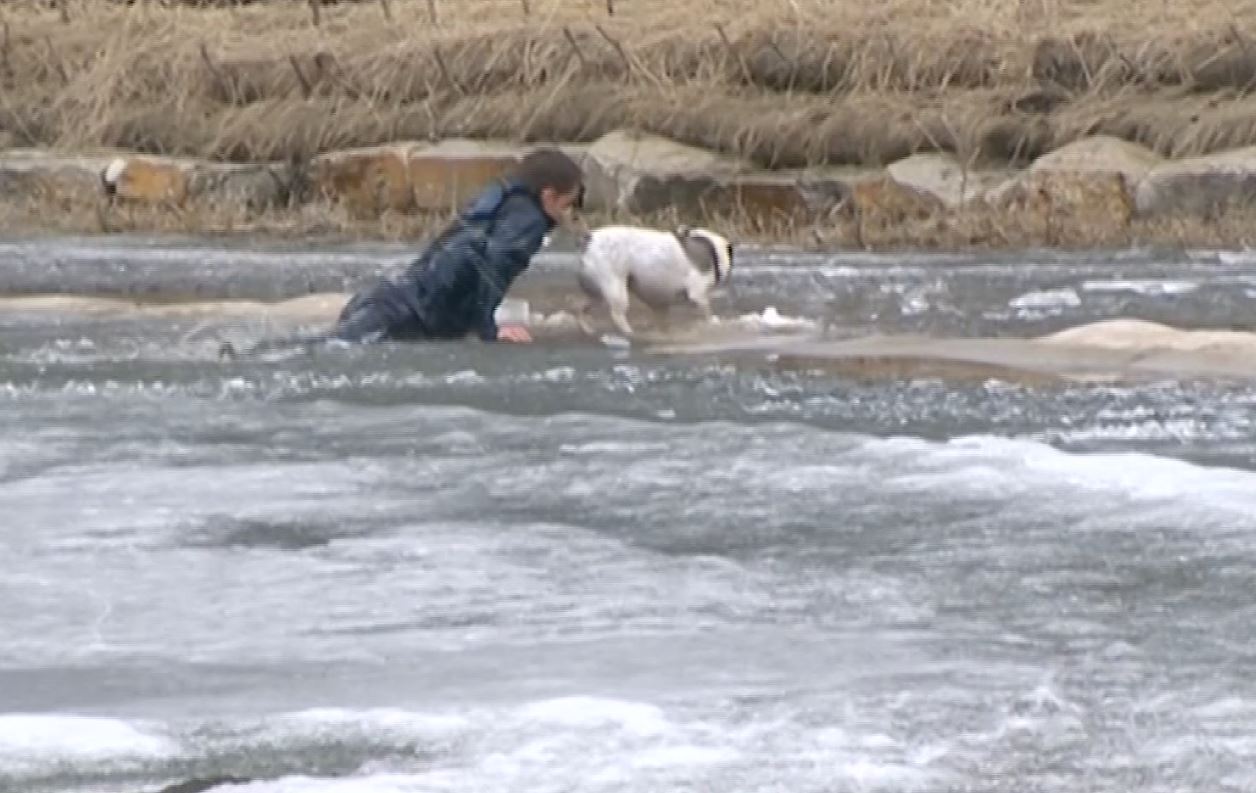 man and dog_534935