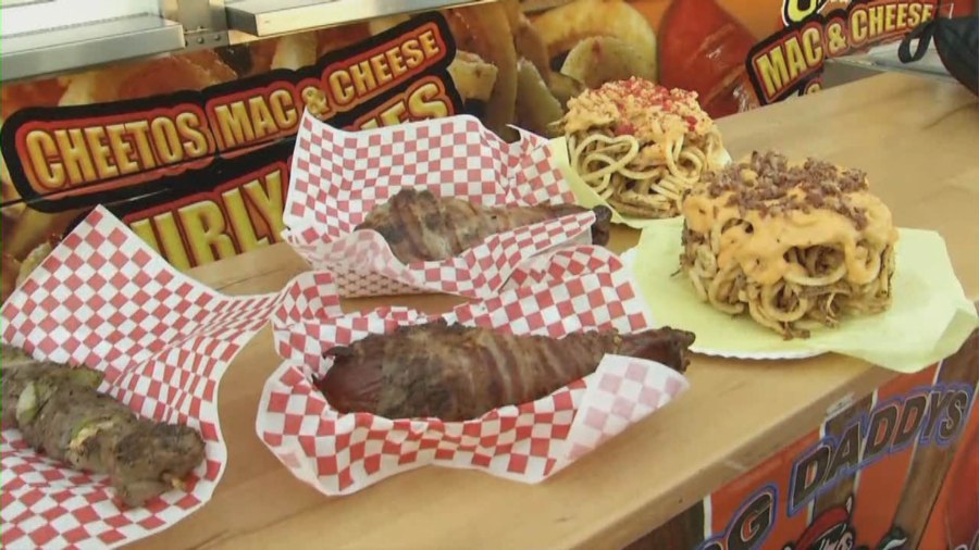 alameda county fair food_586023