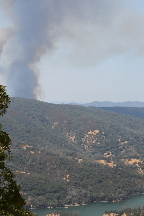 Lake Berryessa News_611316