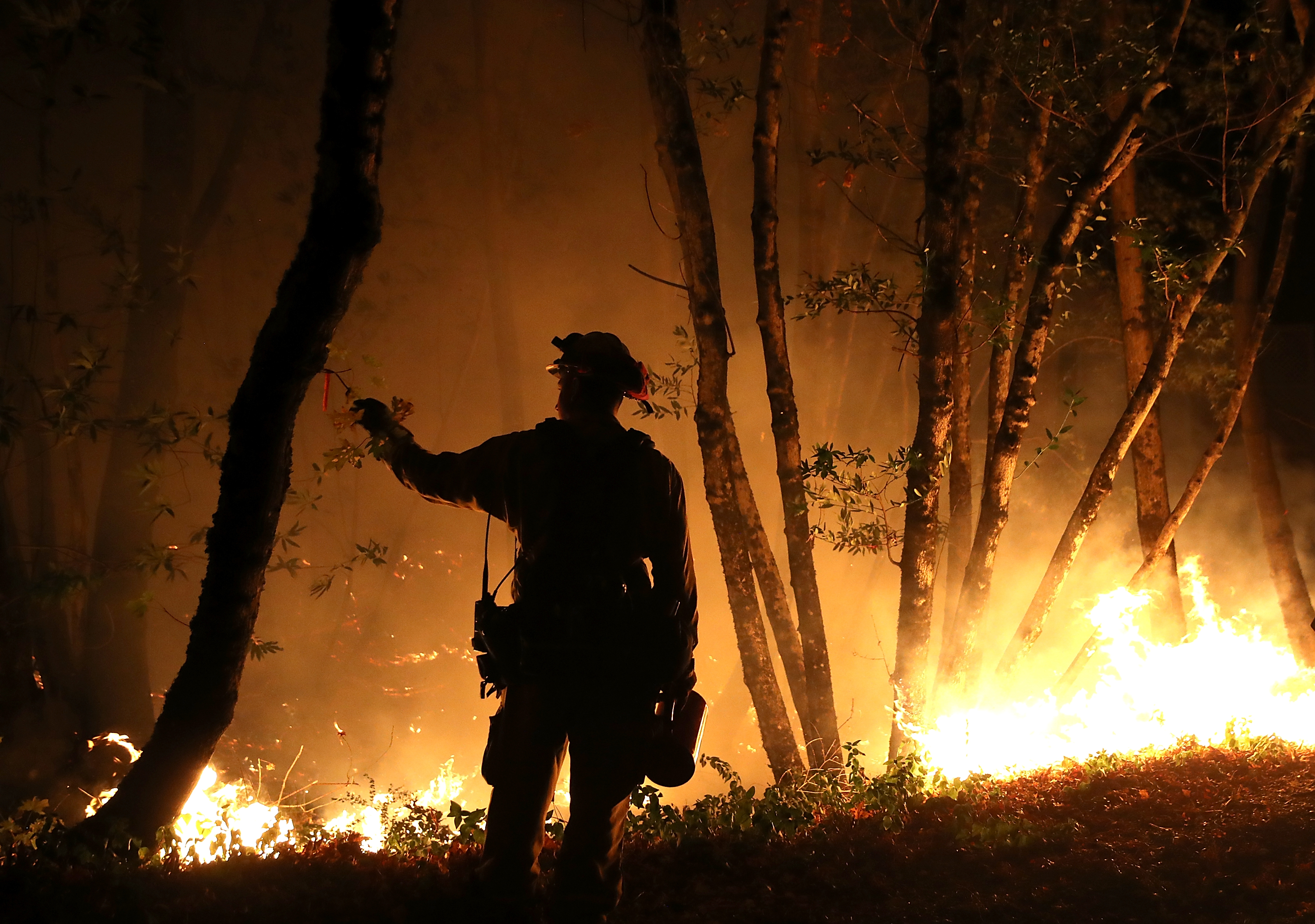 Multiple Wildfires Destroy Homes, Threaten California Wine Country_650004