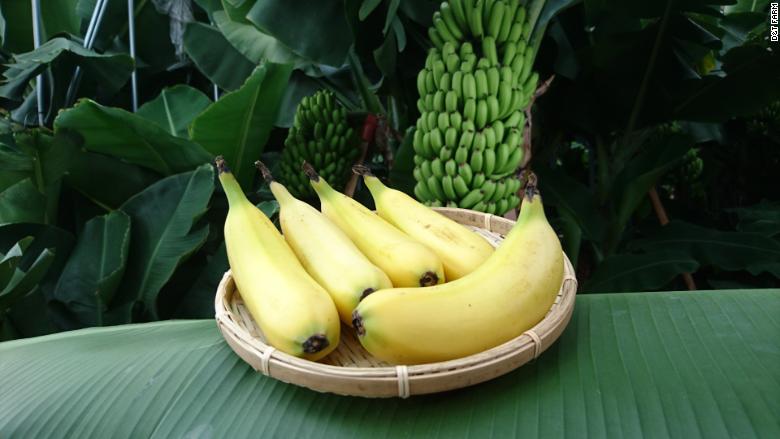 super bananas_714370