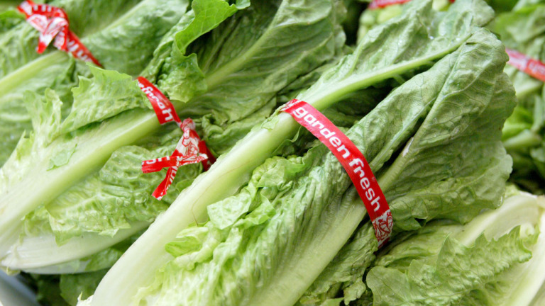 Traces Of Toxic Chemical Found In California Lettuce_697061