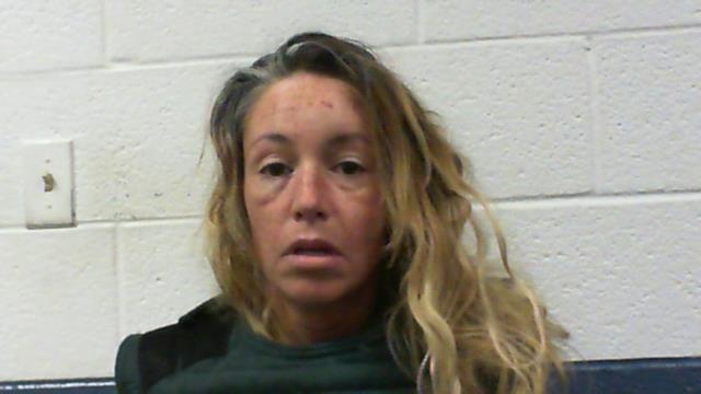 woman accused west virginia_1523293791707.jpg.jpg