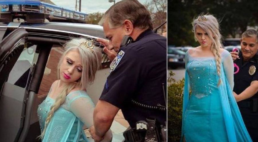 elsa arrested in illinois